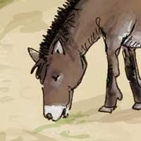 Anne Sent - Illustration 1
