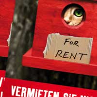 Anne Sent - Kommunikationsdesign